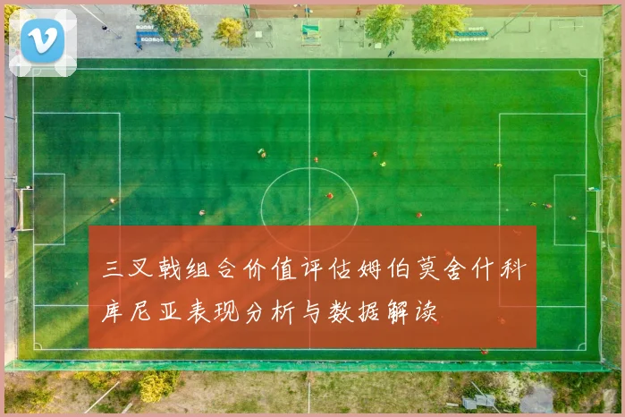 三叉戟组合价值评估姆伯莫舍什科库尼亚表现分析与数据解读