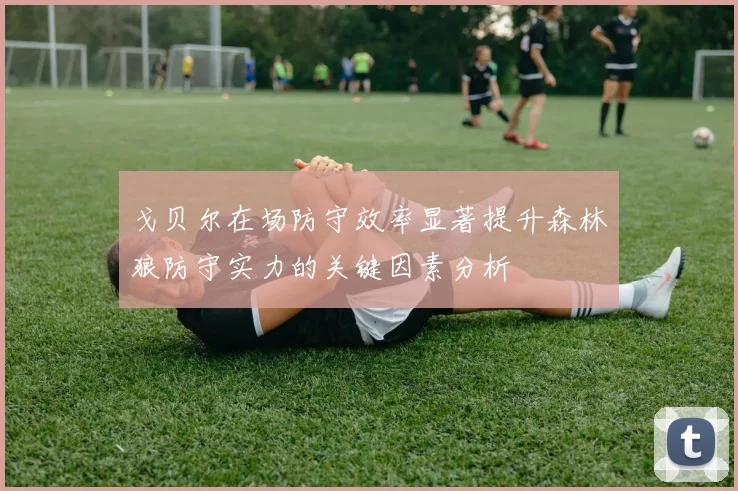 戈贝尔在场防守效率显著提升森林狼防守实力的关键因素分析