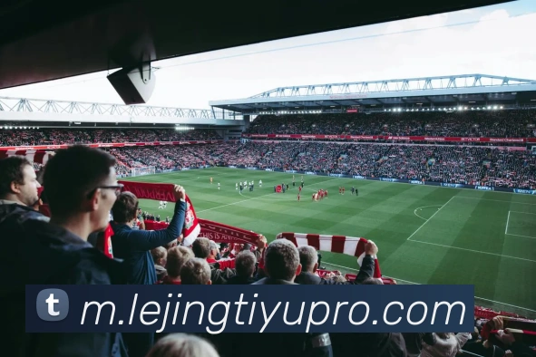 App Interface Preview